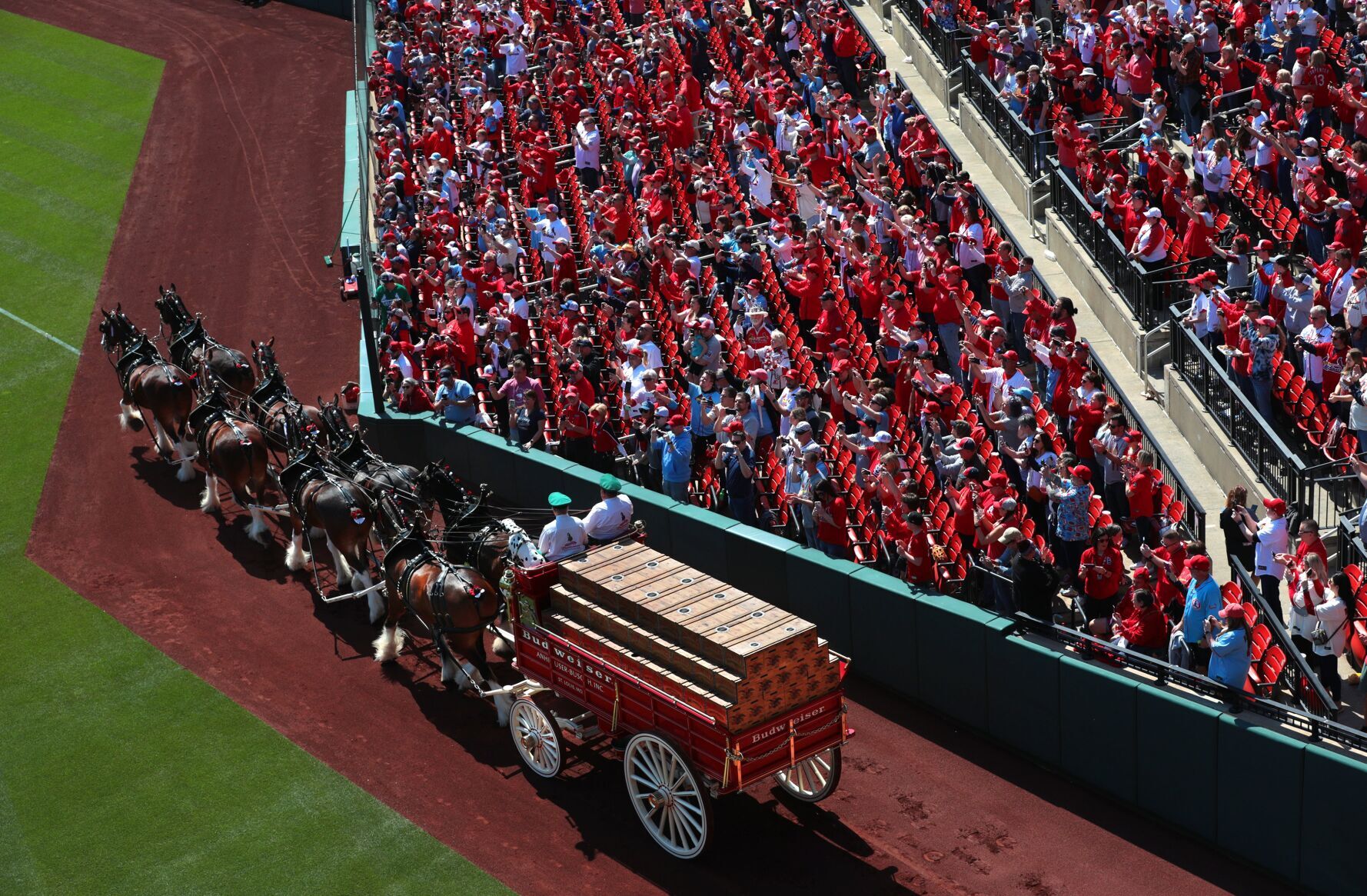 Cardinals host Blue Jays on Opening Day 2023
